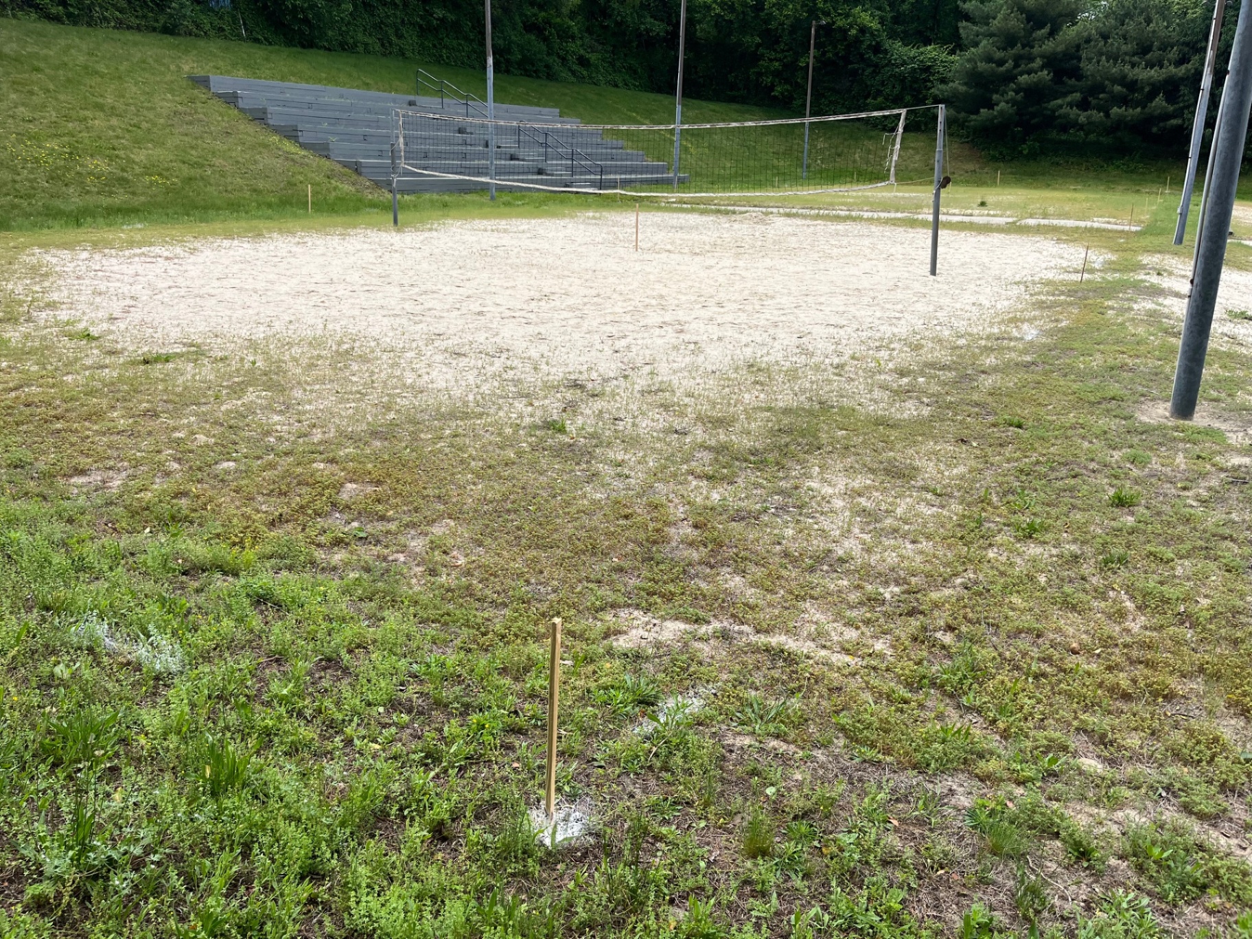 Outdoor Camp Court before