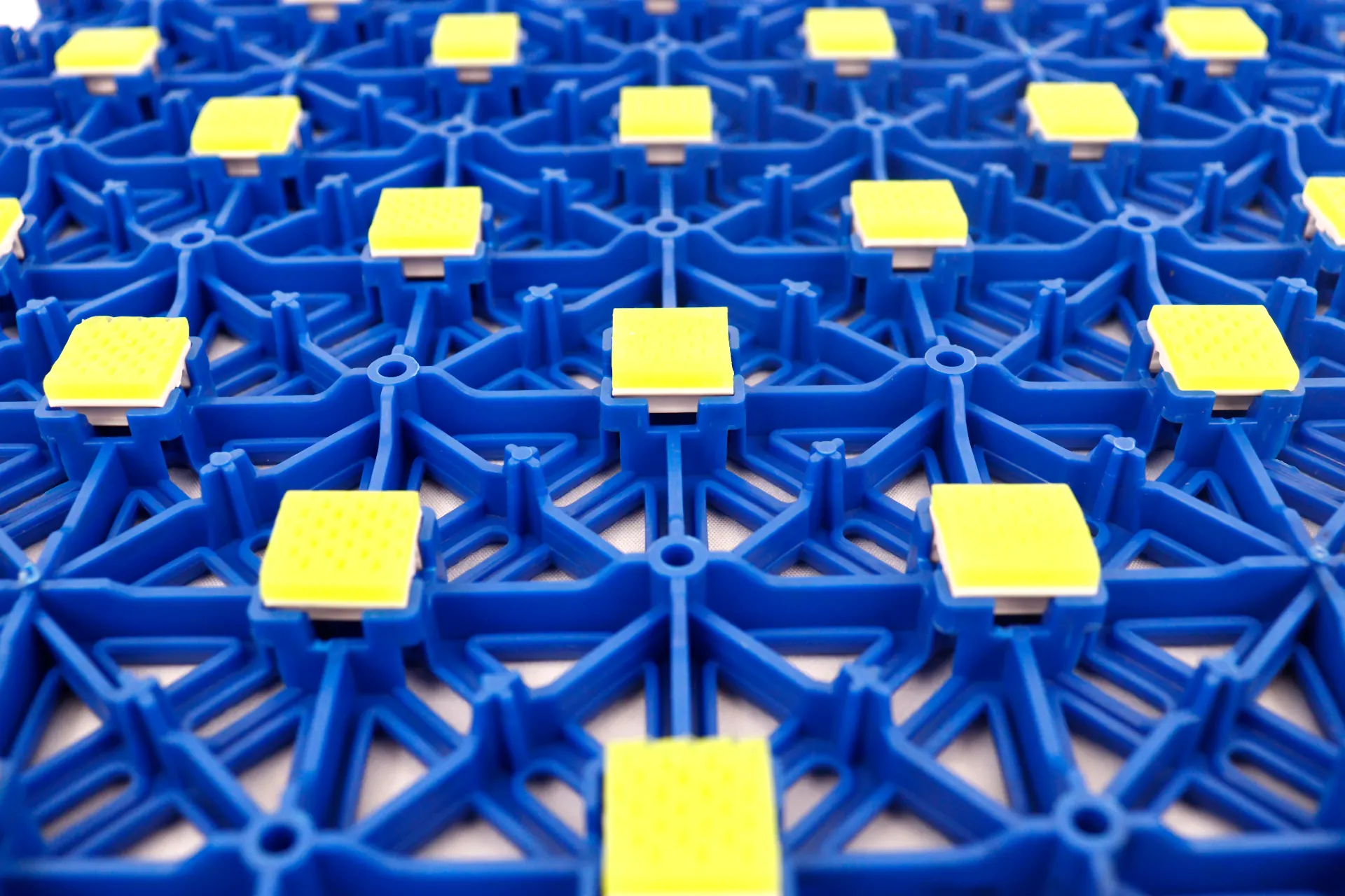 Cushioned Flex Pro backside showing cushion pad distribution